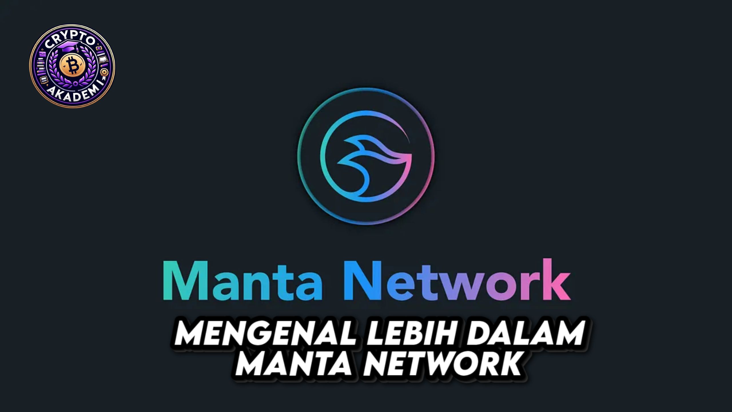 Mengenal lebih dalam manta network